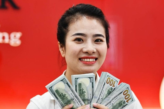 Giá USD ngân hàng giảm mạnh, tỷ giá trung tâm mất mốc 24.000 đồng