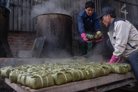 Làng làm bánh chưng 'dâng vua': Có hộ gia đình luộc 5.000 bánh mỗi ngày