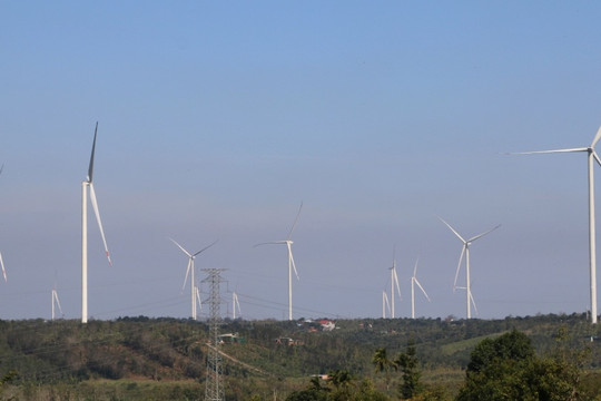 4 dự án điện gió nghìn tỷ ở Đắk Nông 'án binh bất động'