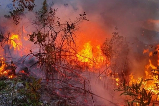 Đề xuất mời nhà khoa học làm rõ hiện tượng kỳ lạ mặt đất 'tự bốc cháy'