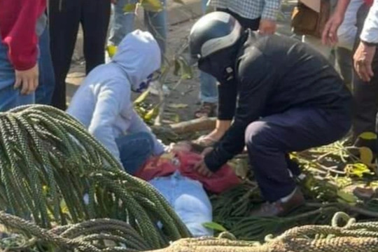 Vụ cô gái bán hoa dịp valentine bị cây đổ đè trúng: Nạn nhân đã tử vong