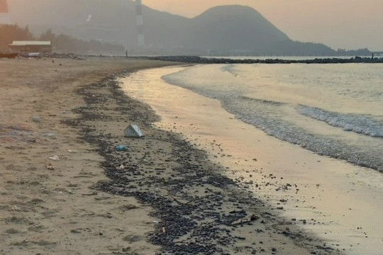 Dầu hắc trôi dạt vào bãi biển ở Hà Tĩnh
