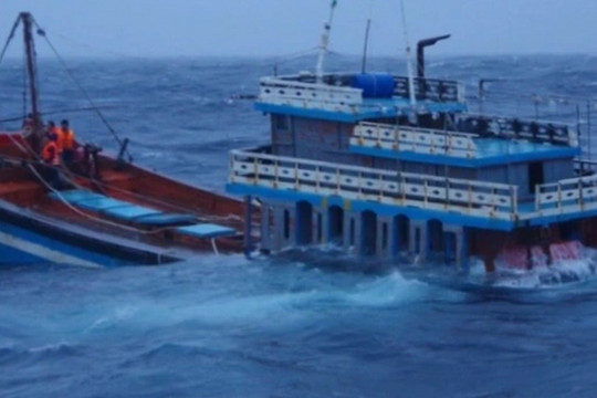 Tàu cá va chạm tàu chở hàng, 3 người chết và mất tích
