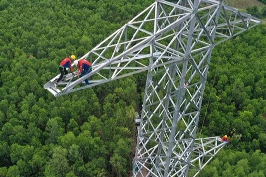 Đề xuất tạm sử dụng rừng phục vụ thi công các dự án điện