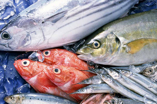 Những bộ phận chứa độc của cá, tuyệt đối không ăn