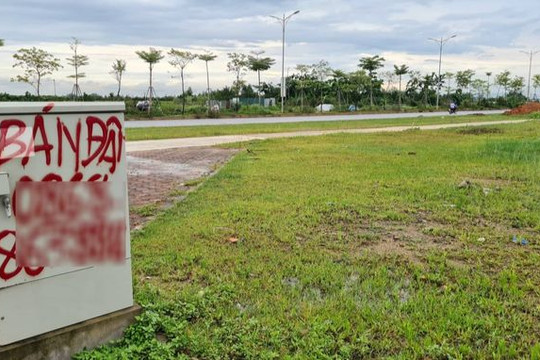 Huyện sắp lên quận ở Hà Nội sẽ đấu giá gần 500 thửa đất