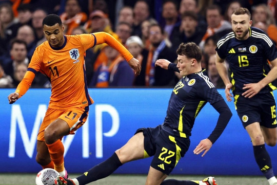 Hà Lan thắng đậm Scotland, Tây Ban Nha thua Colombia