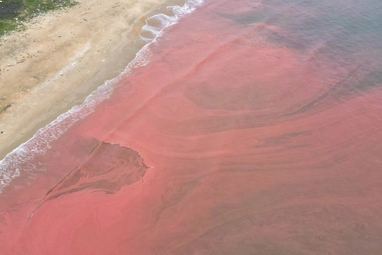 Nước biển đổi màu đỏ ở Hà Tĩnh