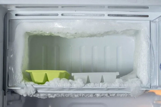 Bỏ thứ này vào tủ lạnh, không sợ tủ đóng tuyết