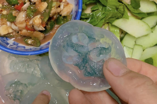 Đặc sản 'ăn tươi nuốt sống' ở Huế gây bão MXH, thực khách gọi tên 'mỹ vị mùa hè'