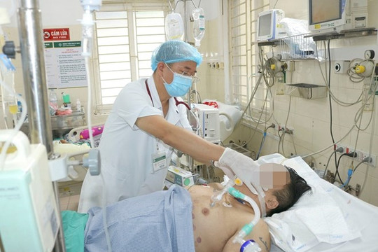 Hà Nội có hơn 500 trường hợp mắc sốt xuất huyết