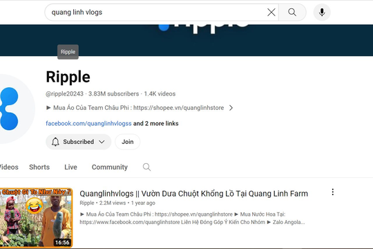 Sau Độ Mixi bị hack kênh YouTube đến lượt Quang Linh Vlogs, Đông Paulo, Thế Nhân Vlogs… cũng 'chung số phận'?