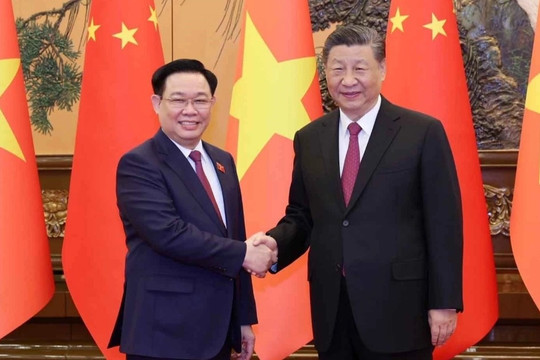 Ông Tập Cận Bình: 'Trung Quốc hết sức coi trọng quan hệ với Việt Nam'