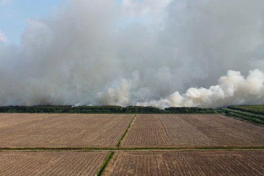 Rừng sản xuất ở Cà Mau đang bốc cháy