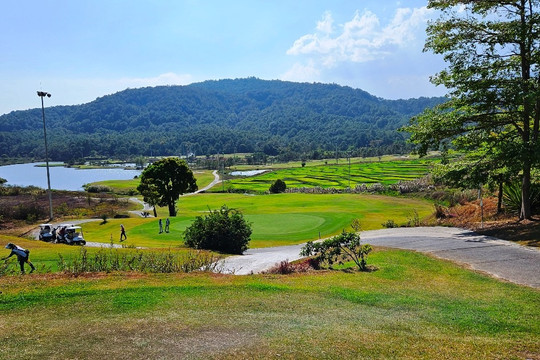 Dự án sân golf ở Lâm Đồng 'xóa sổ' hơn 40ha rừng?