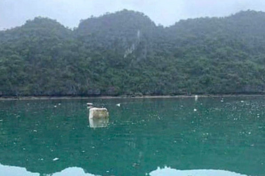 Du khách nước ngoài: Nếu biết vịnh Hạ Long ô nhiễm như vậy sẽ không đến