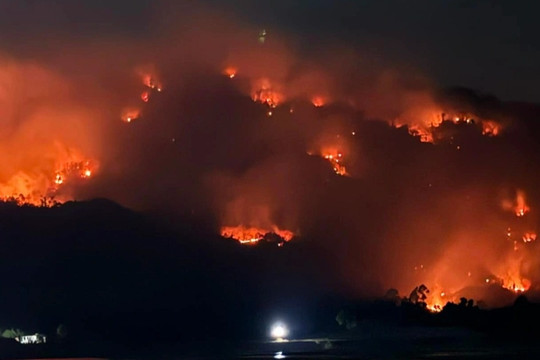 Đang cháy lớn trên núi Cô Tô kèm nhiều tiếng nổ lớn như bom