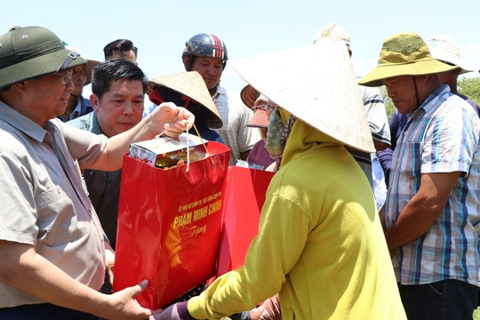 Thủ tướng ra đồng thăm bà con vùng hạn hán Ninh Thuận