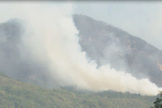 Cháy 260ha rừng, 2 kiểm lâm hy sinh: Thủ tướng ra chỉ đạo quyết liệt