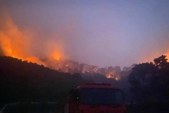 Huy động gần 500 người xuyên đêm chữa cháy rừng ở Nghệ An