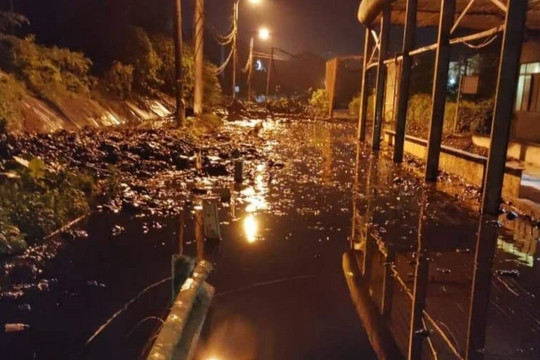 Hà Nội: Bùn thải tràn ra từ bãi rác Nam Sơn sau trận mưa lớn