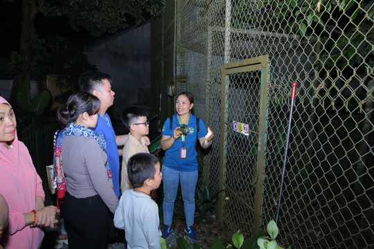 Night tours to explore Cuc Phuong National Park