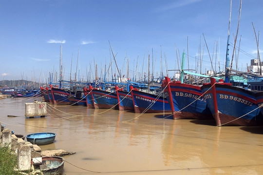 Bình Định cracks down on illegal fishing vessels
