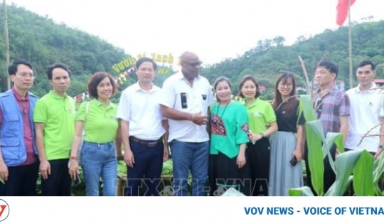 FAO supports Bac Kan’s agro-forestry development