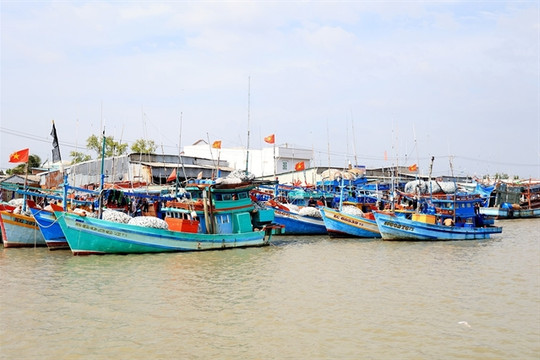 Việt Nam to scale up to become a sustainable and modern fishing nation