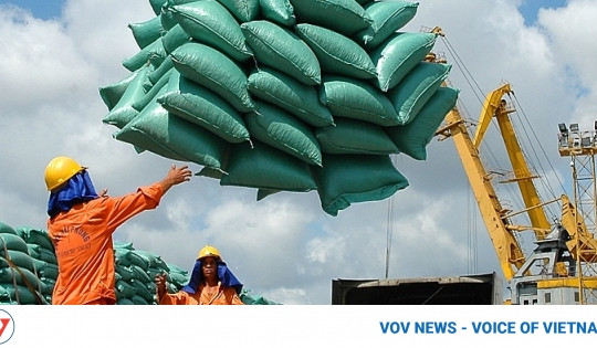 Vietnamese rice exports skyrocket at high-end markets