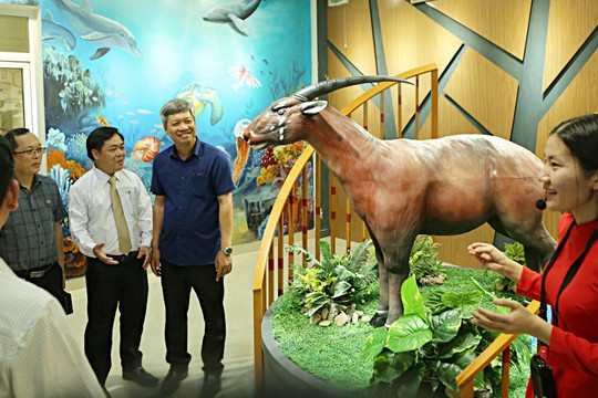 Thăm bảo tàng đa dạng sinh học cấp tỉnh đầu tiên trên cả nước tại Quảng Nam