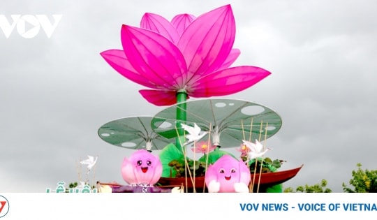 Second Dong Thap lotus festival opens