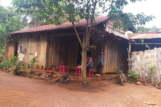 Ethnic minorities in Bình Phước’s border areas strive to escape poverty