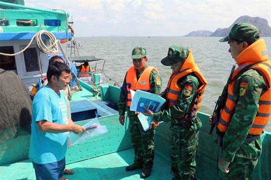 EC reschedules fifth IUU fishing inspection in Việt Nam