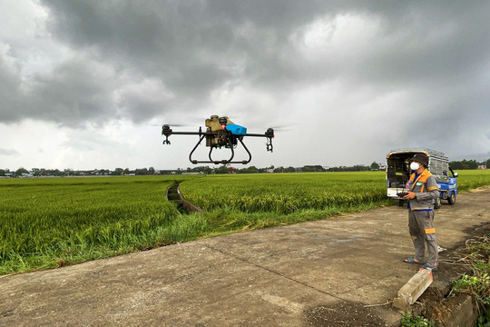 Bà Rịa - Vũng Tàu: Tiết kiệm chi phí nhờ ứng dụng drone vào sản xuất lúa