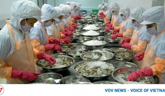 EU emerges as bright spot among Vietnamese shrimp export markets