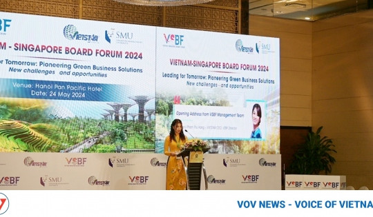 Vietnam – Singapore forum seeks to promote net-zero transition