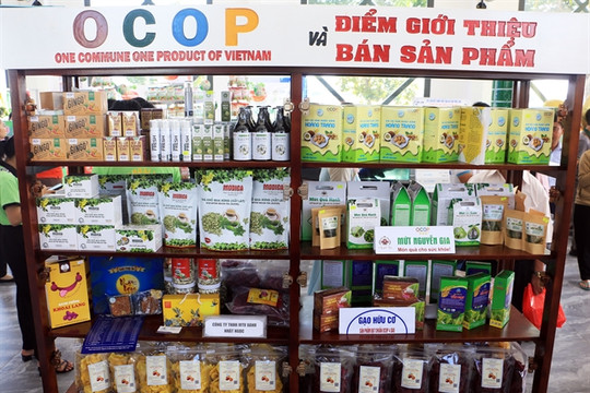 Vĩnh Long Province keen on developing OCOP products