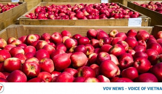 China and US supply most fruits and vegetables to Vietnam