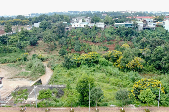 Thanh tra toàn diện việc quản lý, sử dụng gần 2.000 ha đất thành phố Gia Nghĩa