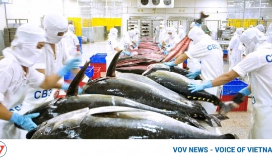 Vietnamese processed tuna exports see upswing