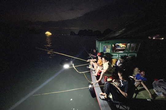 Illegal night-fishing vessels on Hạ Long Bay to be further strictly handled