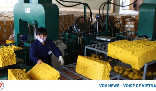 Ample room ahead for Vietnamese rubber exports to US