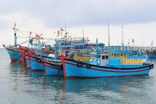 Thanh Hóa takes strong action against vessels staying uncontacted at sea