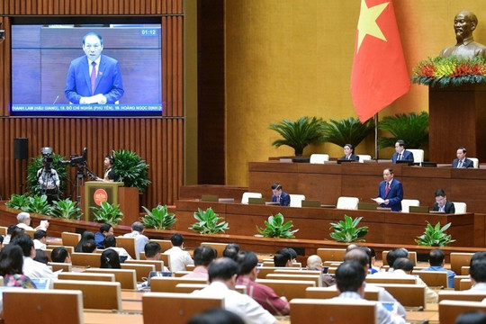 Việt Nam chưa có quốc hoa vì 'không ai có thẩm quyền quyết'