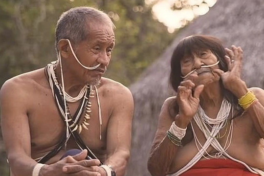 Hệ lụy ập xuống bộ tộc Amazon khi lần đầu được... kết nối internet