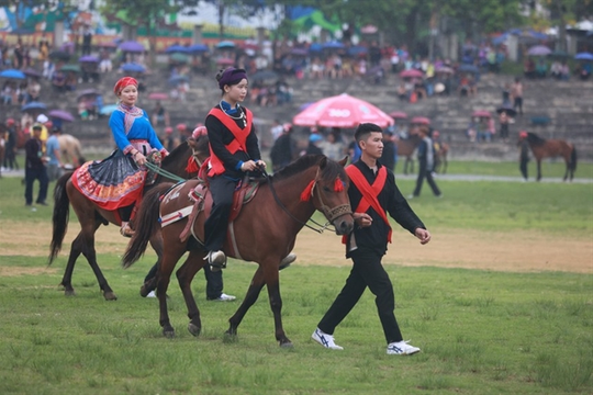 Bắc Hà's white plateau festival attracts thousands of tourists