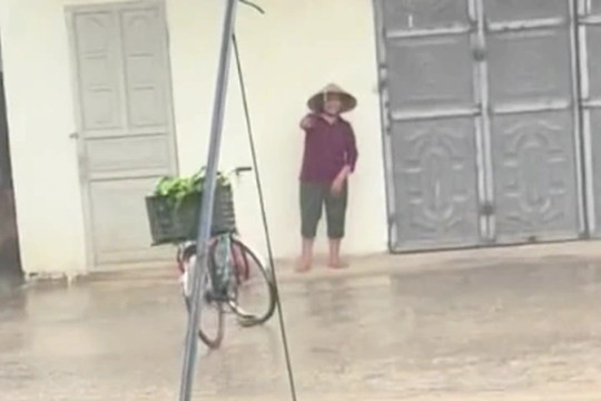 Người phụ nữ mua cả xe rau giữa trời mưa bởi hình dung nếu 'đây là mẹ mình'