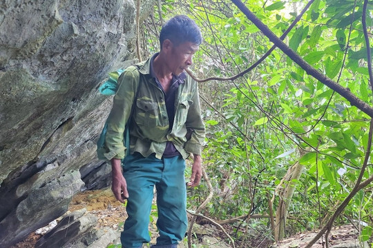 Huy động chó săn vào rừng tìm người đàn ông đi bắt ốc mất tích 10 ngày
