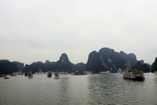 Tourist stranded on Hạ Long Bay island, prompting investigation